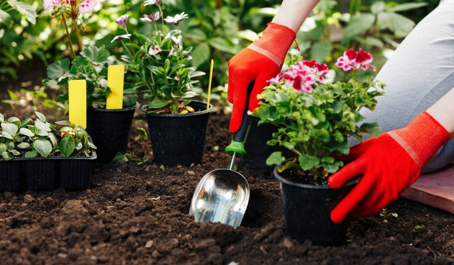 The Best Tips to Prepare Gardening Soil