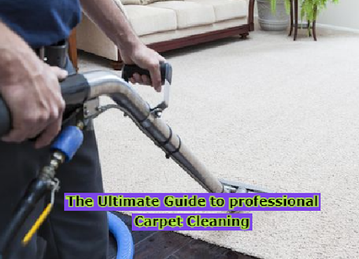 professional Carpet Cleaning