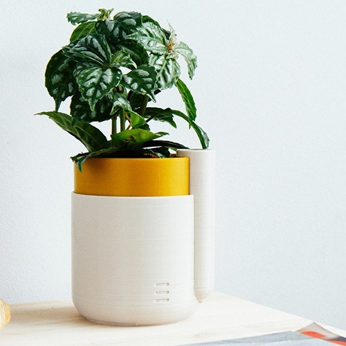 Discover the Future of Hassle-Free Gardening with Self-Watering Pots Online in India